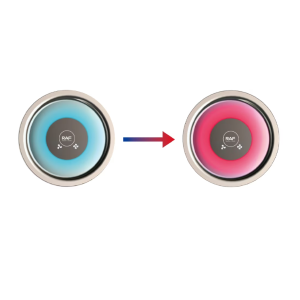 Uscator de Par RAF R423 – 1600W, 3 Trepte de Temperatura, 2 Viteze, Cap Magnetic de Precizie