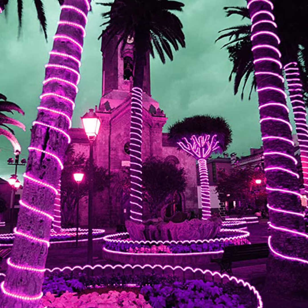 Instalatie Furtun 100m Mov, Miracle Light, Sectionabila, 2400 LED-uri, IP65