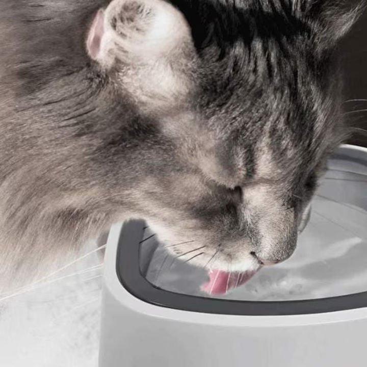 Bol de Apa pentru Pisici si Caini, 1.5L, Sistem Antistropire, Baza Antialunecare